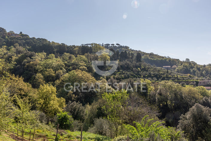 Image No.49-3 Bed Country House for sale