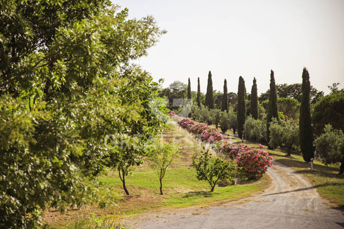 Image No.20-6 Bed Country House for sale