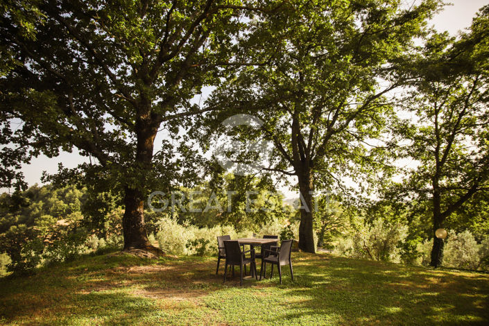 Image No.8-6 Bed Country House for sale