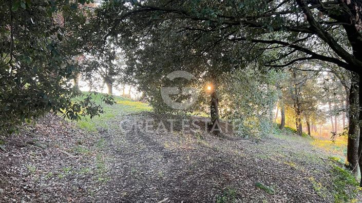 Image No.19-3 Bed Country House for sale