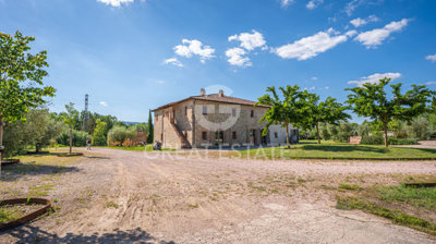 Photo_14