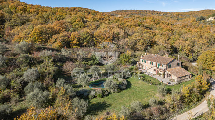 Image No.3-8 Bed Country House for sale