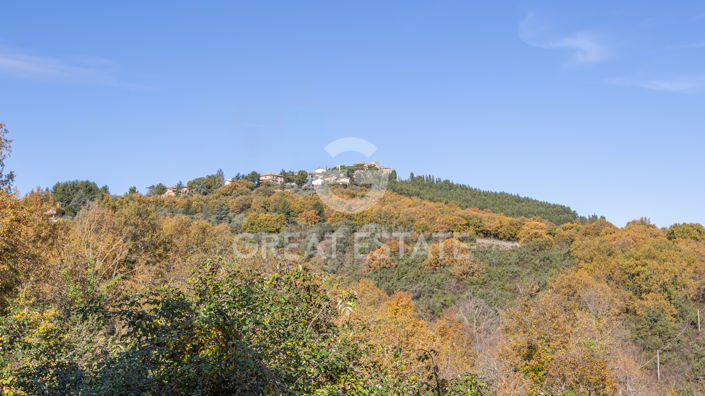 Image No.58-8 Bed Country House for sale