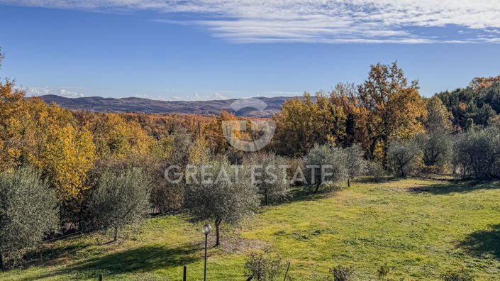 Image No.59-8 Bed Country House for sale