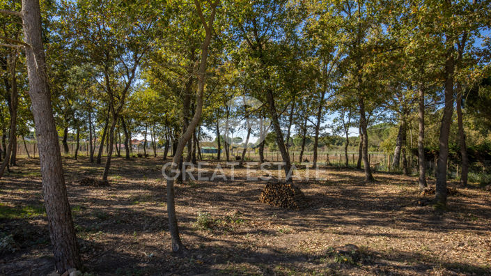 Image No.11-4 Bed Villa for sale