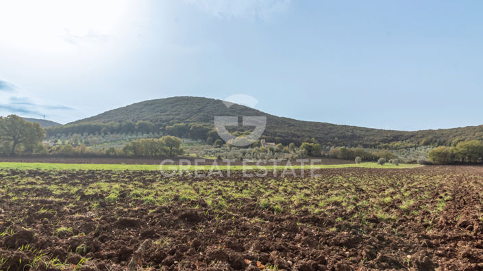 Image No.17-6 Bed Country House for sale