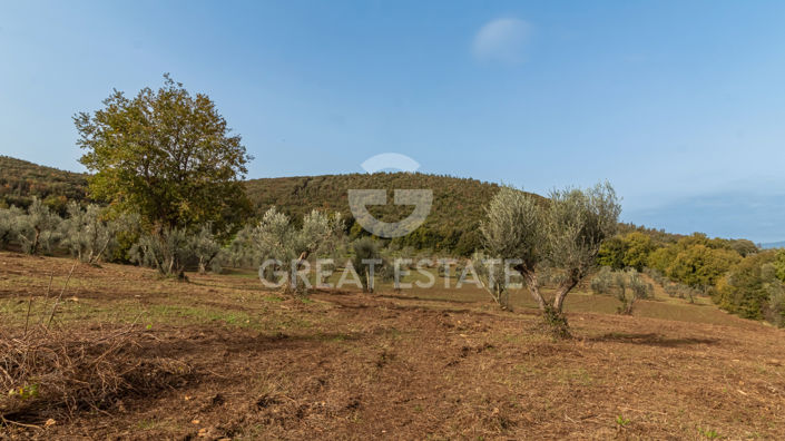 Image No.18-6 Bed Country House for sale