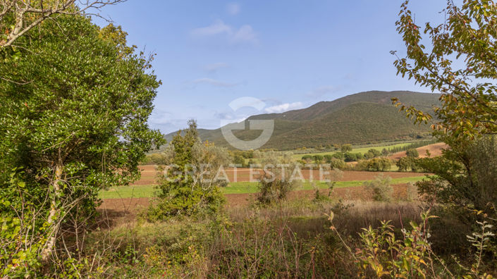 Image No.19-6 Bed Country House for sale