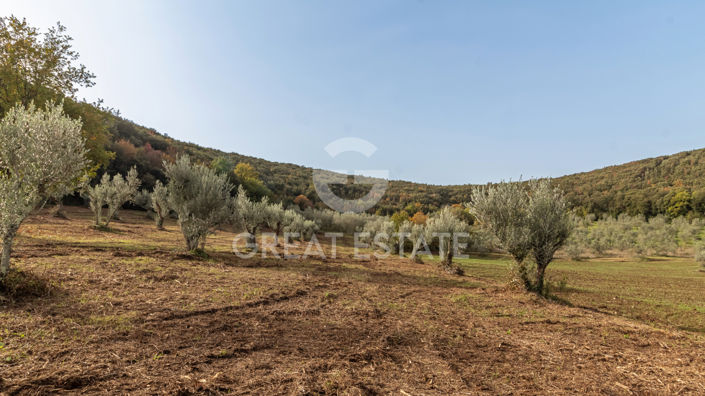 Image No.20-6 Bed Country House for sale