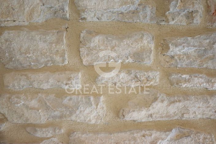 Image No.41-11 Bed Country House for sale