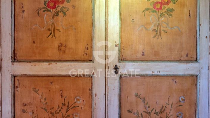 Image No.43-11 Bed Country House for sale