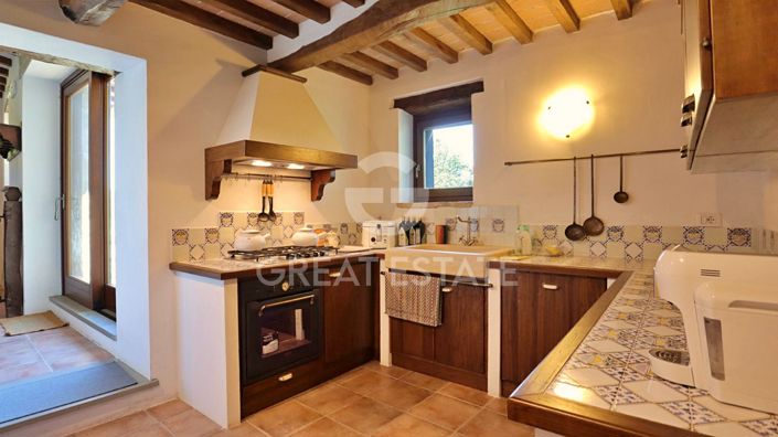 Image No.5-11 Bed Country House for sale