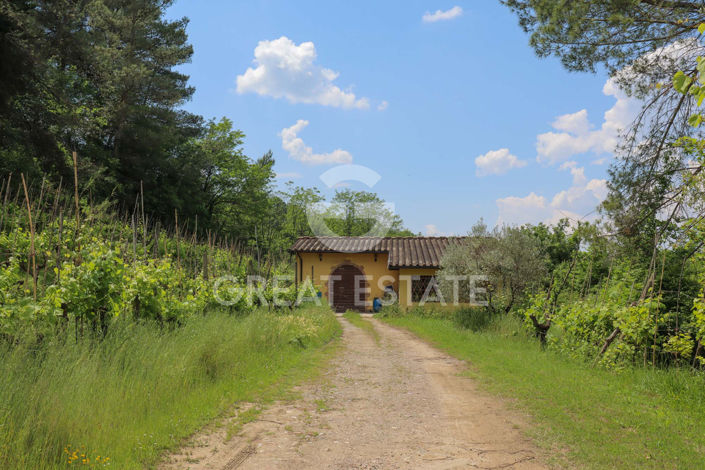 Image No.43-8 Bed Country House for sale