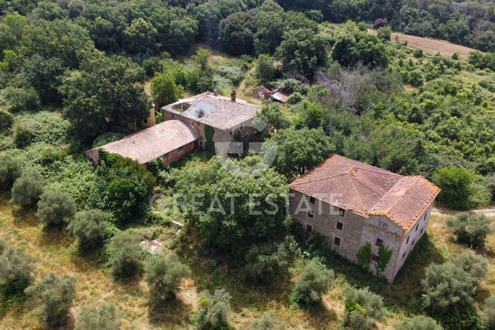 Image No.10-Maison de campagne de 1 chambre à vendre à Pérouse