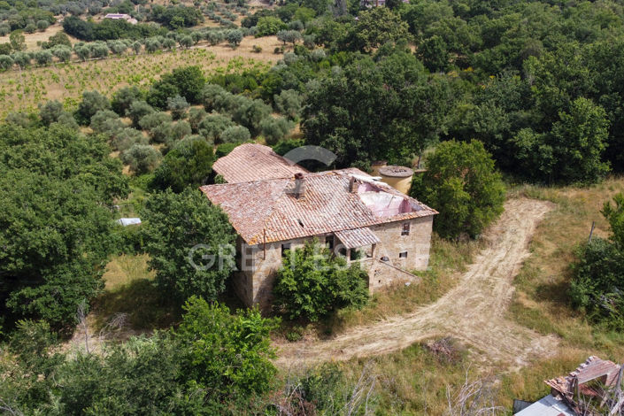 Image No.4-Maison de campagne de 1 chambre à vendre à Pérouse