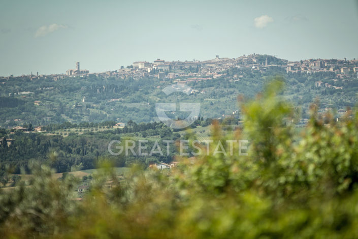 Image No.51-10 Bed Country House for sale