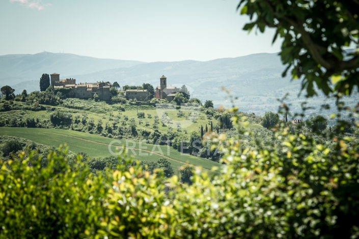 Image No.52-10 Bed Country House for sale