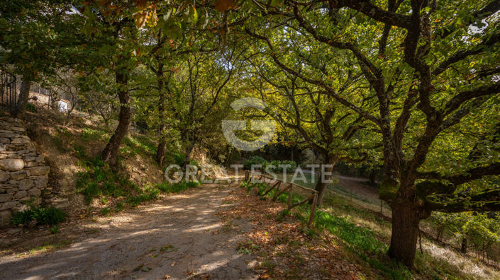 Image No.21-7 Bed Country House for sale