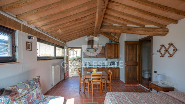 Image No.24-7 Bed Country House for sale