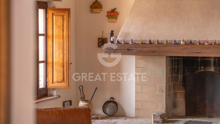 Image No.44-7 Bed Country House for sale