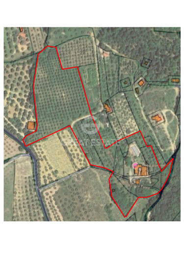 Image No.2-floorplan-2