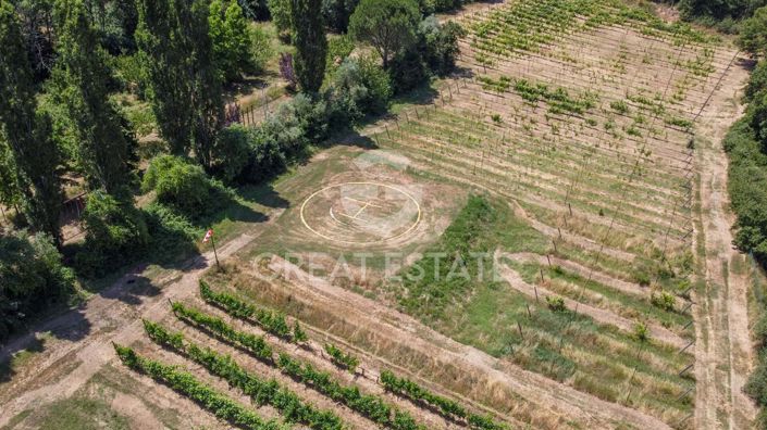 Image No.20-12 Bed Country House for sale