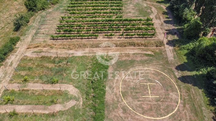 Image No.22-12 Bed Country House for sale