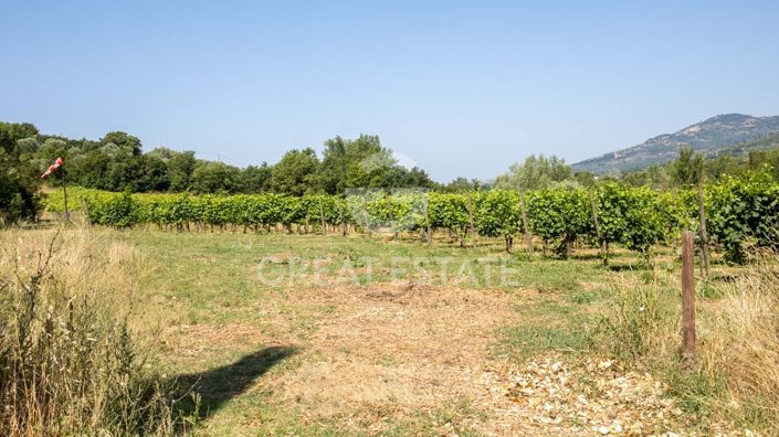 Image No.31-12 Bed Country House for sale