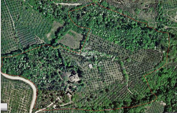 Image No.2-floorplan-2