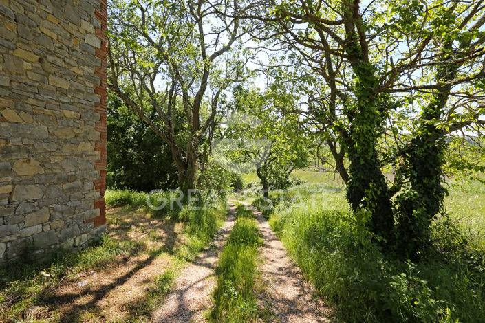 Image No.7-Country House for sale