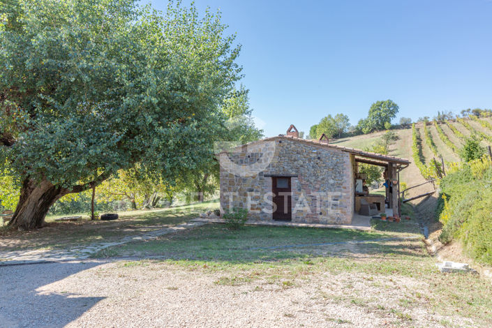 Image No.12-5 Bed Country House for sale