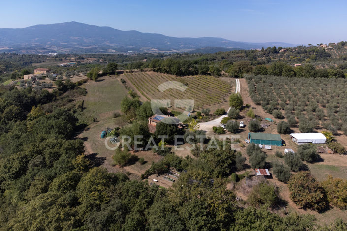 Image No.16-5 Bed Country House for sale