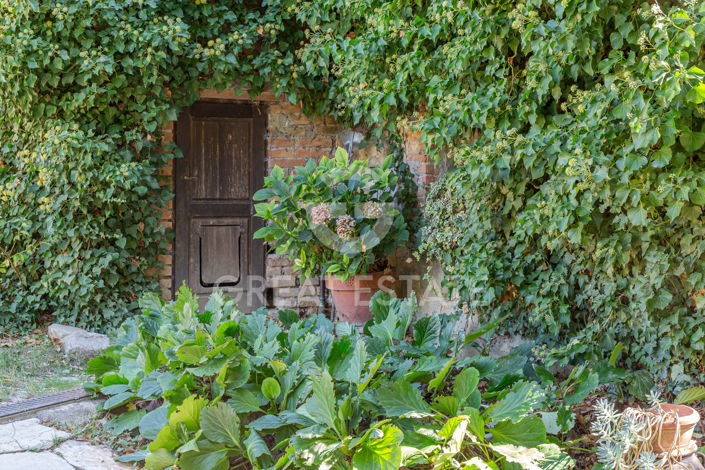 Image No.23-5 Bed Country House for sale