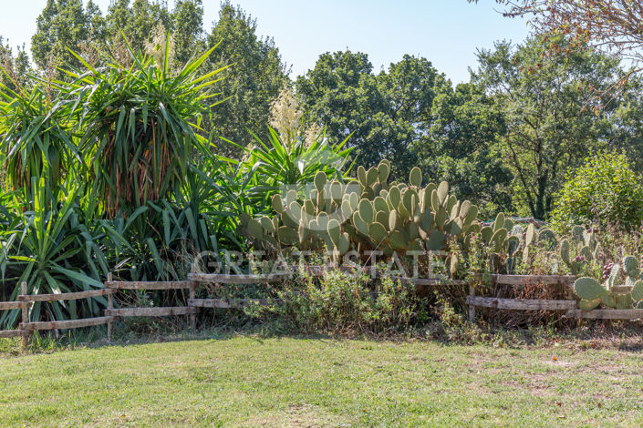 Image No.25-5 Bed Country House for sale