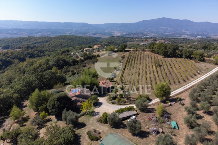 Image No.29-5 Bed Country House for sale