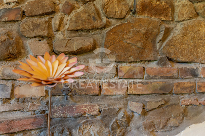 Image No.50-5 Bed Country House for sale