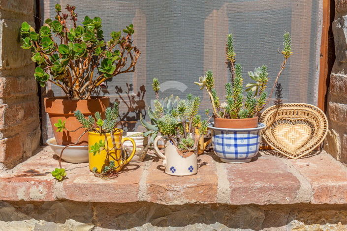 Image No.51-5 Bed Country House for sale