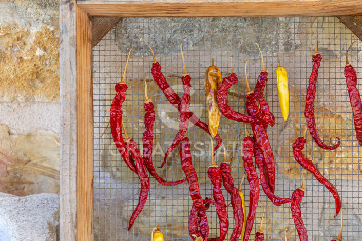 Image No.53-5 Bed Country House for sale