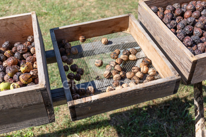 Image No.54-5 Bed Country House for sale