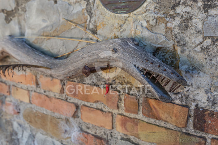 Image No.59-5 Bed Country House for sale