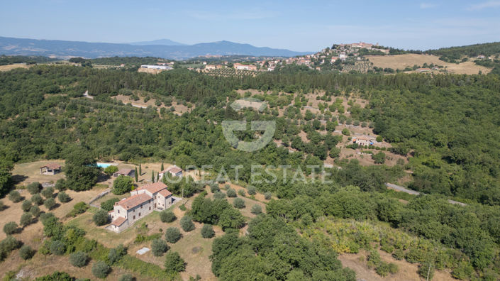 Image No.28-8 Bed Country House for sale