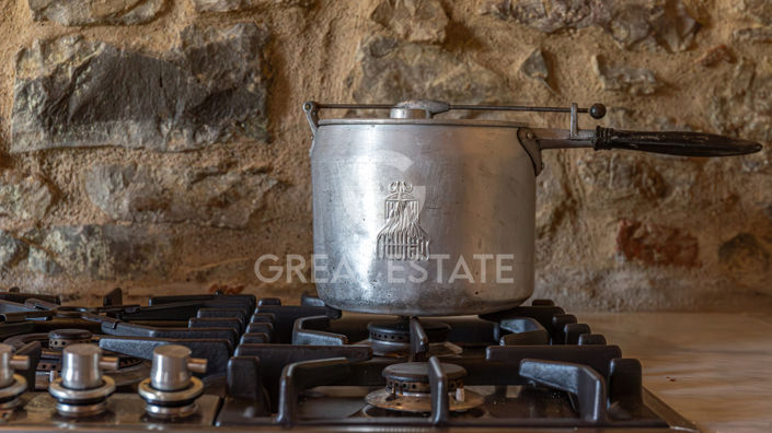 Image No.43-8 Bed Country House for sale