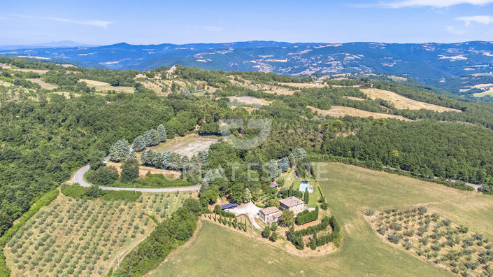 Image No.5-5 Bed Country House for sale