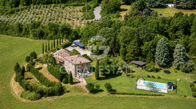Photo_4
