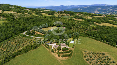 Photo_7