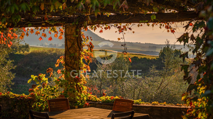 Image No.14-8 Bed Country House for sale