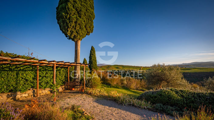 Image No.21-8 Bed Country House for sale