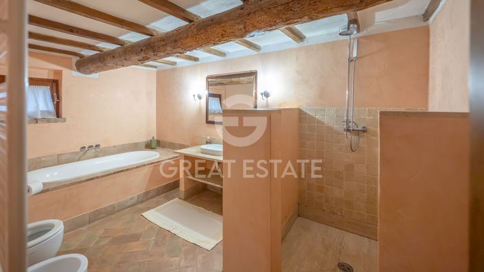 Image No.40-8 Bed Country House for sale