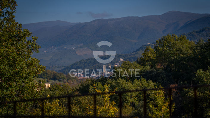 Image No.43-4 Bed Country House for sale