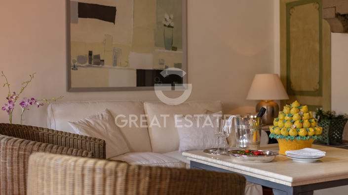 Image No.8-19 Bed Country House for sale